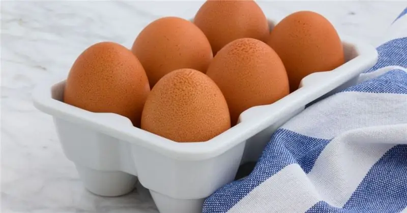 Источники белка