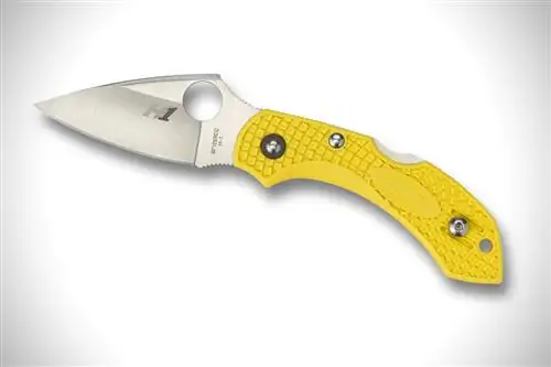 Spyderco Dragonfly 2 Соль