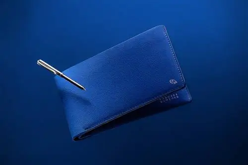 Коллекция кошельков Bellroy XO Barneys New York
