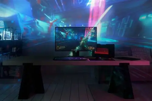 Razer Project Ариана