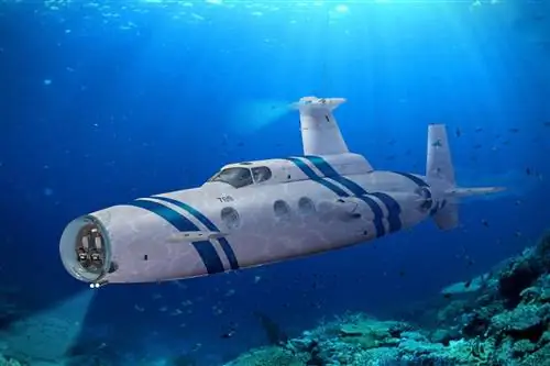 Нейк Роскошная подводная лодка