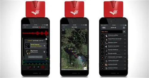 Эхометр Touch 2 Детектор летучих мышей