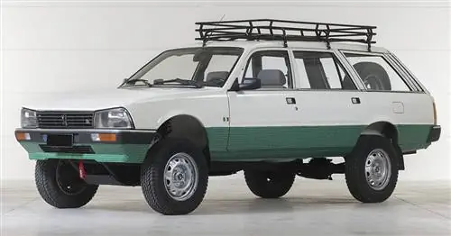 Блок аукциона: Peugeot Break 4&215;4 Dangel
