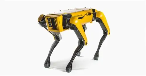 Boston Dynamics’ Робот-собака со скоростью 3 мили в час со степенью защиты IP54 может стать вашей