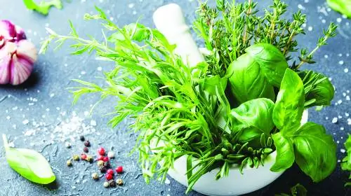 Травы для очистки легких от токсинов при курении