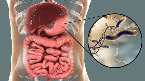 Биолог Янко Буюклиев: Helicobacter pylori и токсоплазмоз усугубляют развитие диабета
