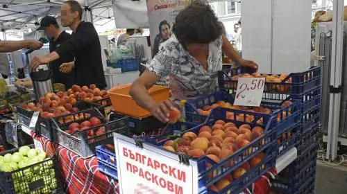 Проф. Пламен Моллов: Продовольственный контроль в Болгарии – это обман