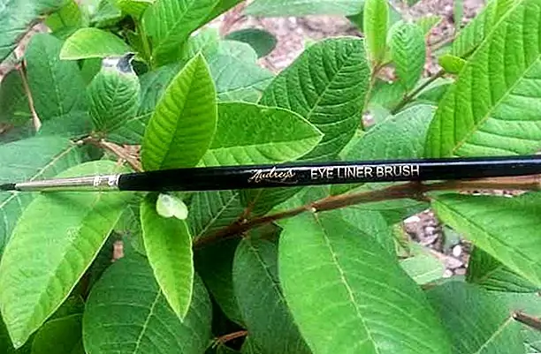 Обзор щеток для глаз Eyereys Eye Liner