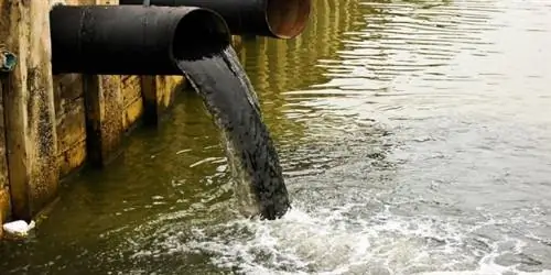 Вот 8 факторов, вызывающих загрязнение воды, и примеры
