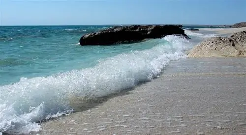 Воспользуйтесь преимуществами морской воды в отпуске