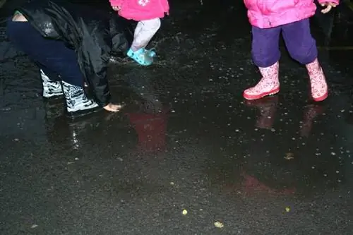Что делать с детьми в дождливую погоду Что делать с детьми в дождливую погоду