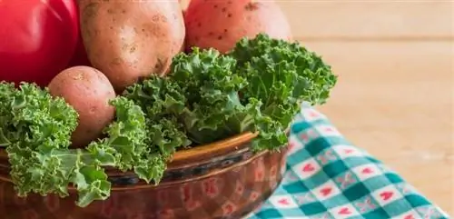 капуста капуста и картофель