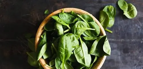 Антицеллюлитная диета для борьбы с апельсиновой коркой