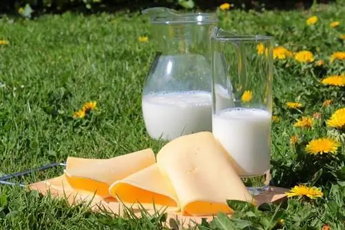 Молочные продукты с низким содержанием жира