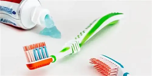чистить зубы чистить зубы
