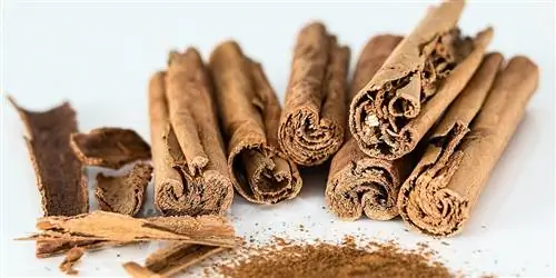 польза корицы