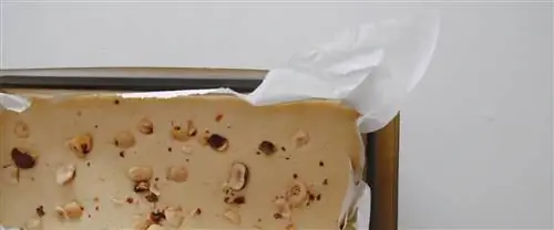 Лимонный пирог с рисовой мукой