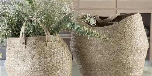 плетеные корзины плетеные корзины