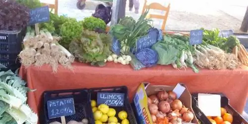 местное потребление местное потребление