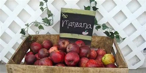 Лас-Кольменас, инициатива местного потребления