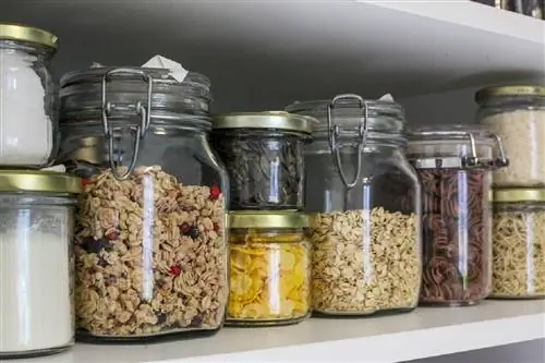 Zero Waste или устойчивая жизнь Zero Waste или устойчивая жизнь
