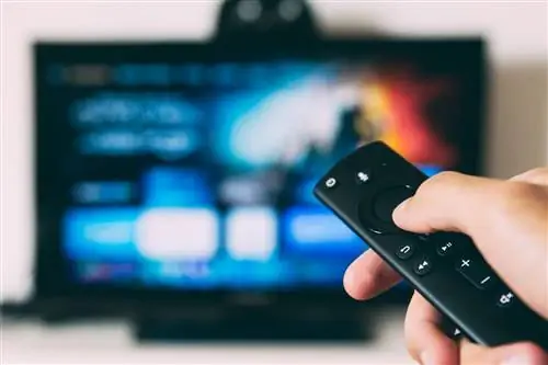 Лучшие релизы лета на Amazon Prime