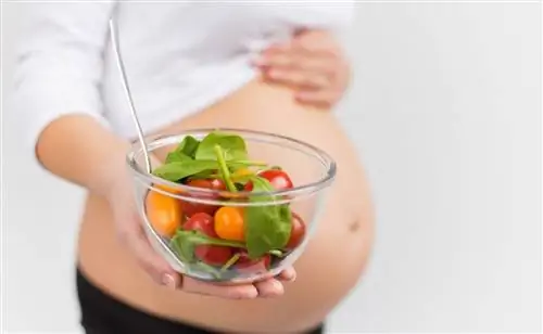 Продукты средиземноморской диеты, которые должна есть любая беременная женщина
