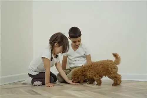 Воспитание ценностей, 4, которым дети должны научиться