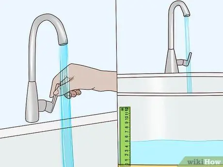 Вымойте чихуахуа Шаг 4