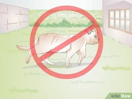 Администрирование Frontline for Cats Шаг 10 Администрирование Frontline for Cats Шаг 10