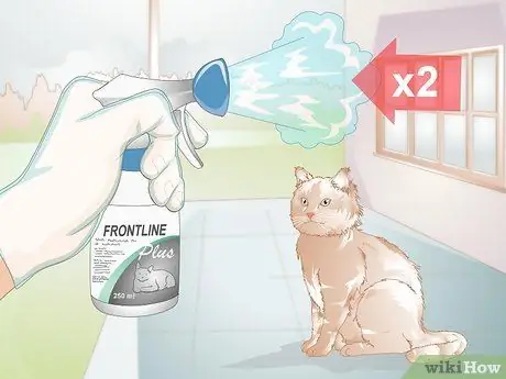Администрирование Frontline for Cats Шаг 7 Администрирование Frontline for Cats Шаг 7
