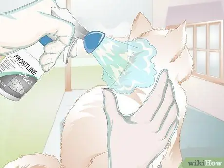 Администрирование Frontline for Cats Шаг 8 Администрирование Frontline for Cats Шаг 8