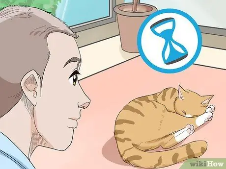 Слейте моторное масло с кошки Шаг 8 Слейте моторное масло с кошки Шаг 8
