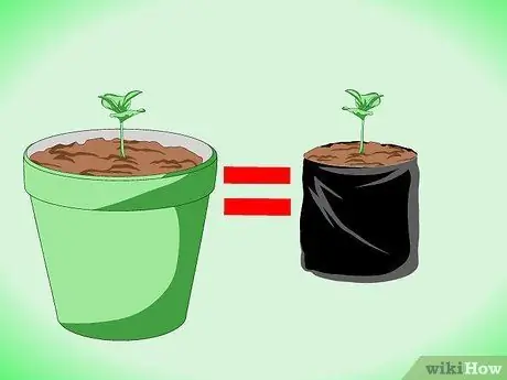 Grow_Cultivate Coffee Шаг 7