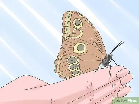 Уход за Caterpillar Step 17 Уход за Caterpillar Step 17