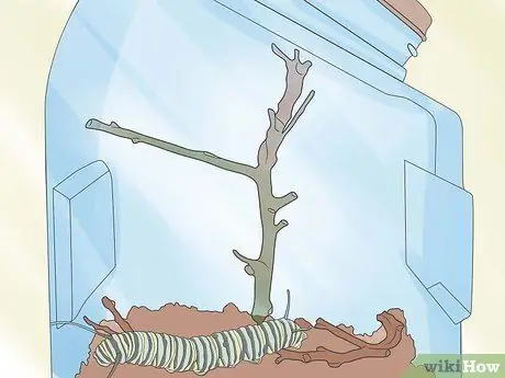 Уход за Caterpillar Step 7 Уход за Caterpillar Step 7