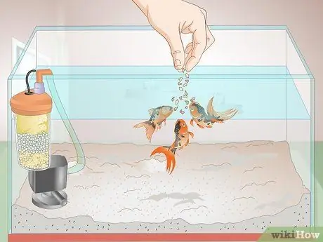 Вылечить красные слизистые водоросли в морских аквариумах Шаг 6 Вылечить красные слизистые водоросли в морских аквариумах Шаг 6