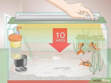 Лечение красных слизистых водорослей в морских аквариумах Шаг 8 Лечение красных слизистых водорослей в морских аквариумах Шаг 8