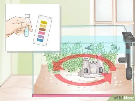 Установите Betta Tank Шаг 13 Установите Betta Tank Шаг 13