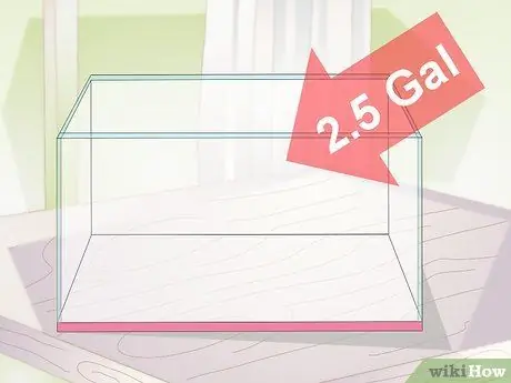 Установите Betta Tank Шаг 1 Установите Betta Tank Шаг 1