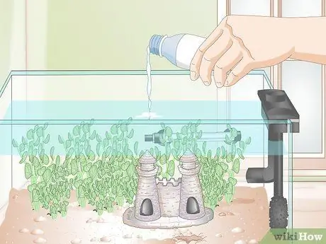 Установите Betta Tank Шаг 12 Установите Betta Tank Шаг 12