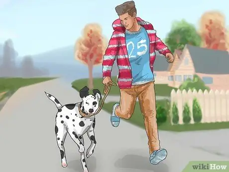 Уход за далматином Шаг 5