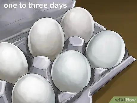 Вылупить яйцо утки кряквы Шаг 5