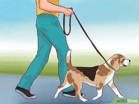 Train Beagles, шаг 2