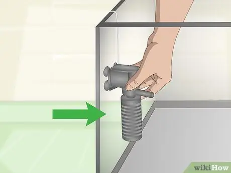 Keep Discus Step 2 Keep Discus Step 2