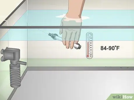 Keep Discus Step 3 Keep Discus Step 3