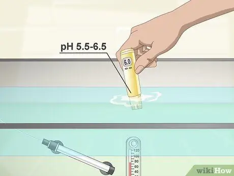 Keep Discus Step 4 Keep Discus Step 4