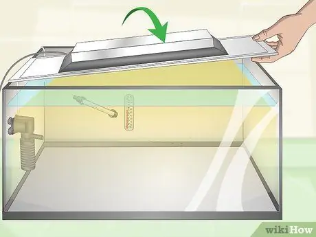 Keep Discus Step 5 Keep Discus Step 5