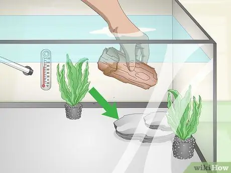 Keep Discus Step 6 Keep Discus Step 6