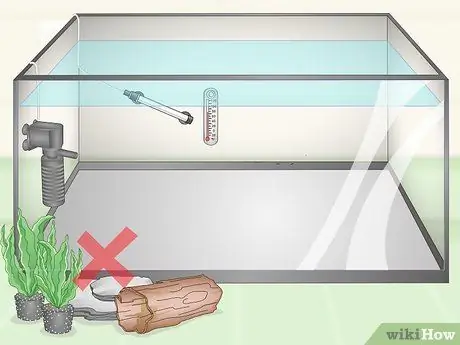 Keep Discus Step 7 Keep Discus Step 7